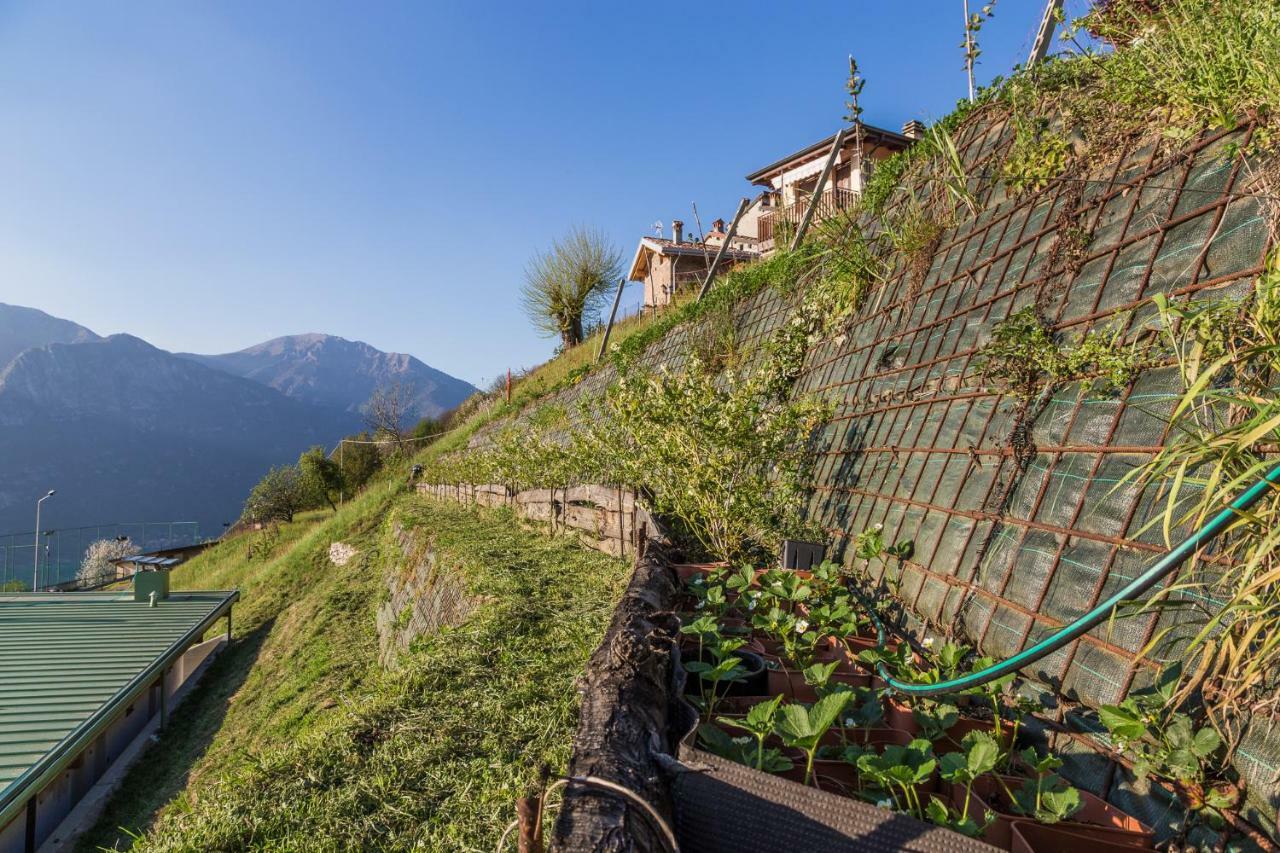 Agriturismo Alveare Sul Lago Pisogne Eksteriør billede