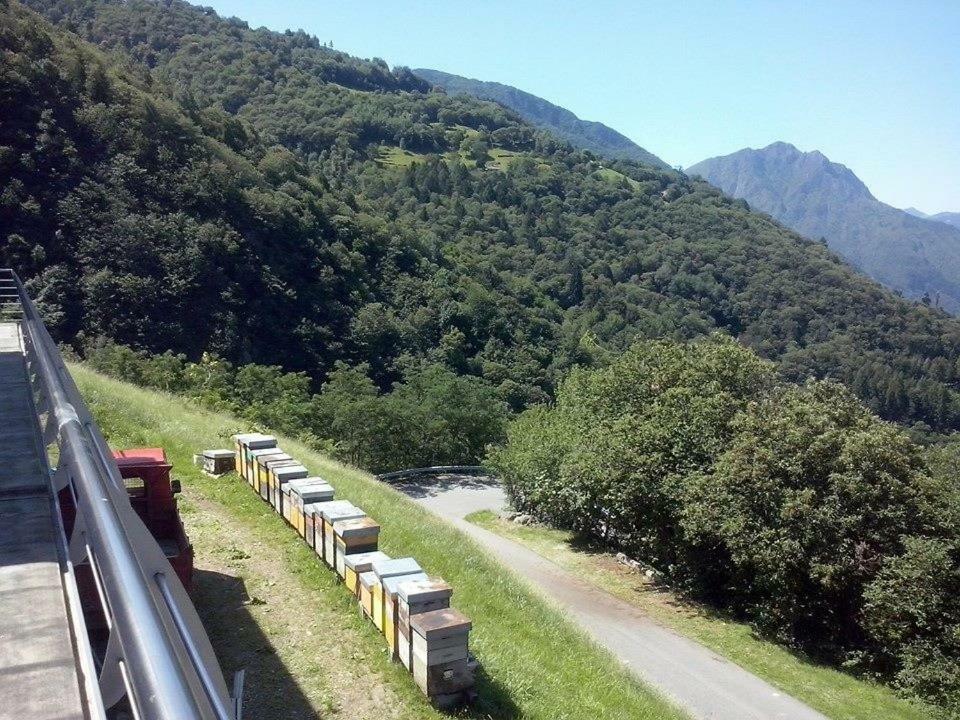 Agriturismo Alveare Sul Lago Pisogne Eksteriør billede